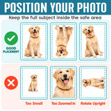 Personalized Pet Photo Shaped Pillow – Sweetest Furry Cuddle Buddy