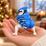 24 Days of Cheeky Birds – Quirky Bird Advent Calendar