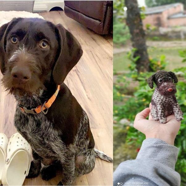 Craftzily - Custom Crochet Dog, Custom Stuffed Dog, Crochet Pet Memorial